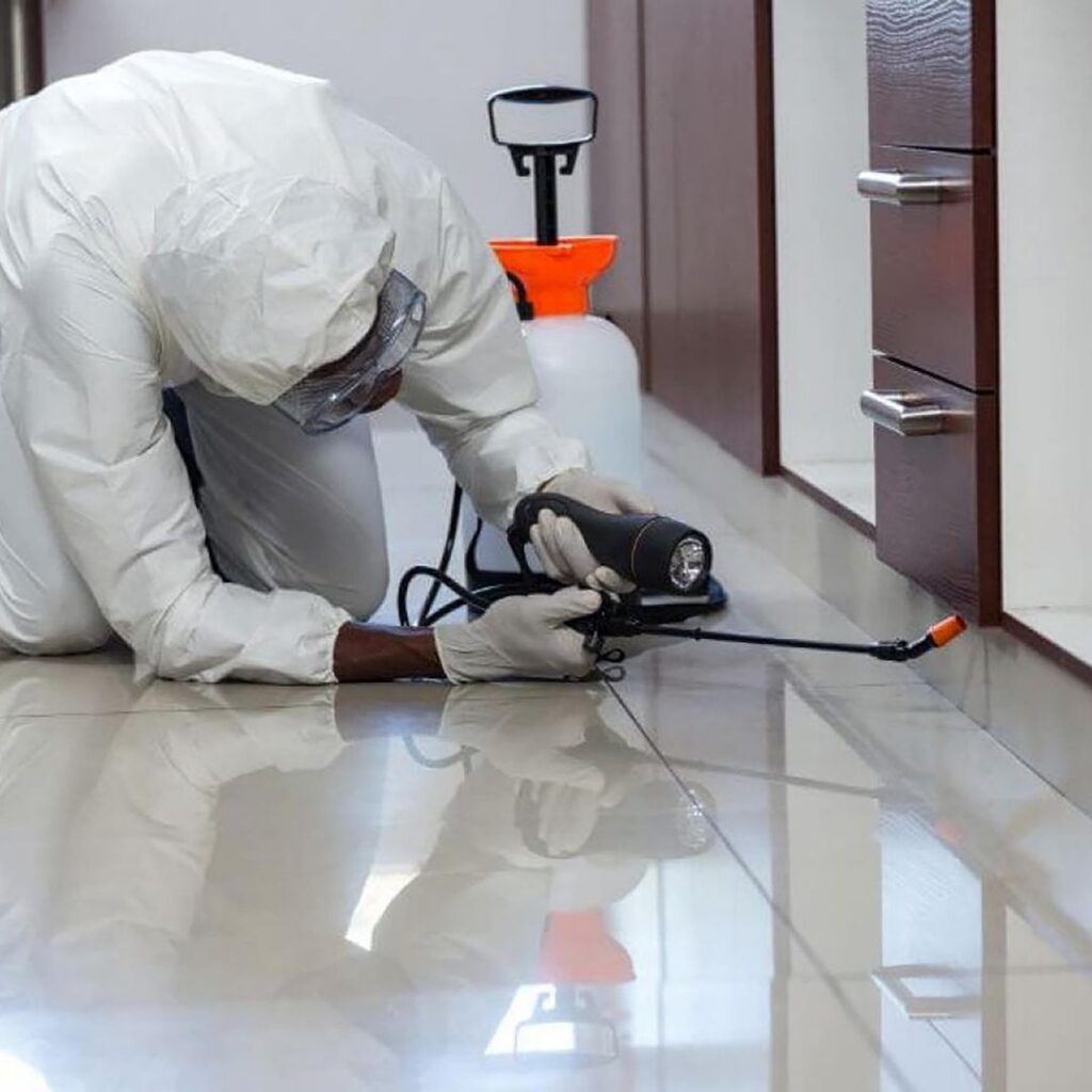 Pest Control Professional
