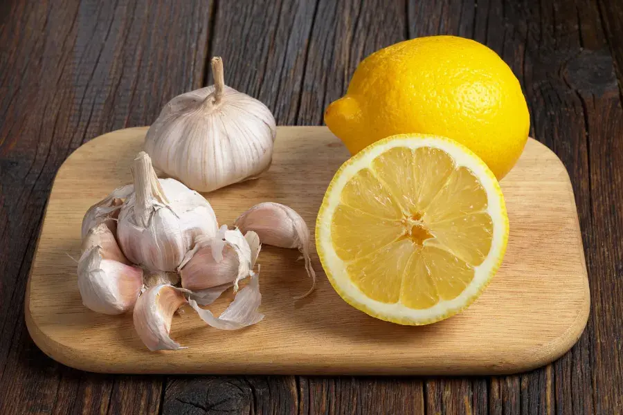 Natural Household Insect Repellent Hacks