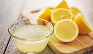 Natural Household insect repellent hacks